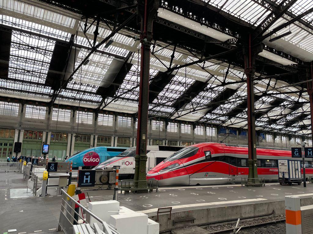 Vue de Trenitalia, TGV Inoui et Ouigo à Paris gare de Lyon