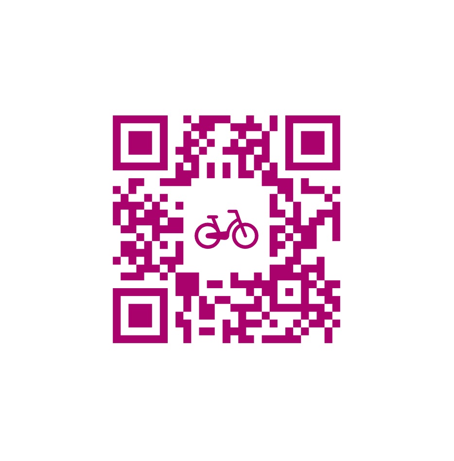 https://www.fluo.grandest.fr/velo-fluo/