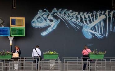 Dinosaure sur un mur