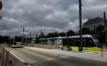 Bibus