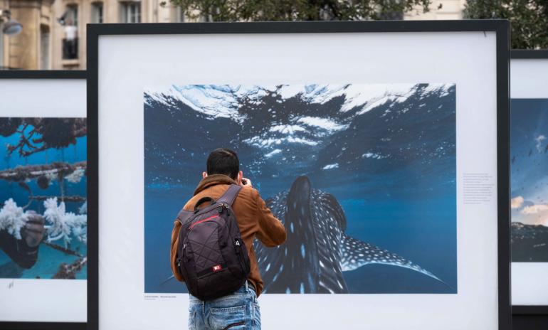 exposition 1 Ocean