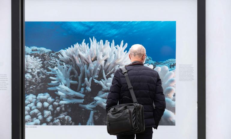 Exposition 1OCEAN