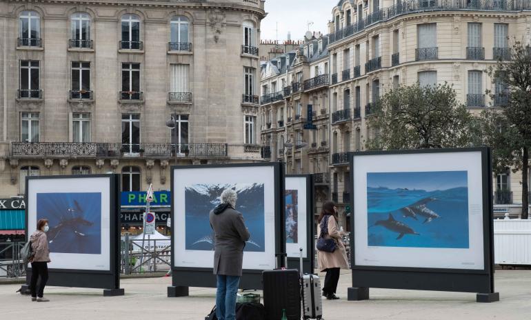Parvis exposition 1OCEAN