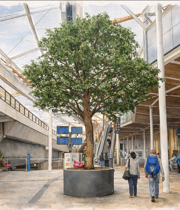 dessin arbre de Rennes